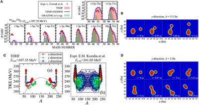 TDHF Theory and Its Extensions for the Multinucleon Transfer Reaction: A Mini Review